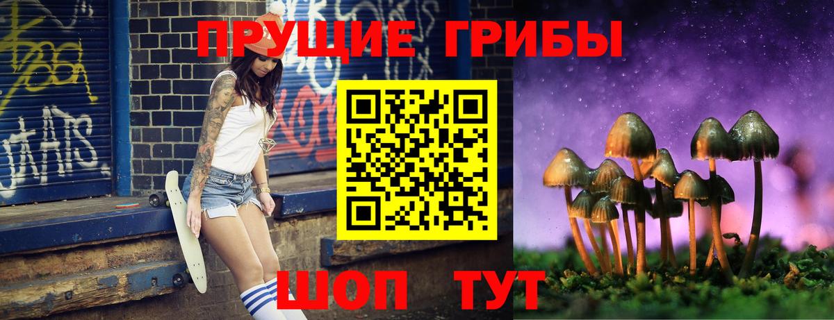 Псилоцибиновые грибы прущие грибы Мыски