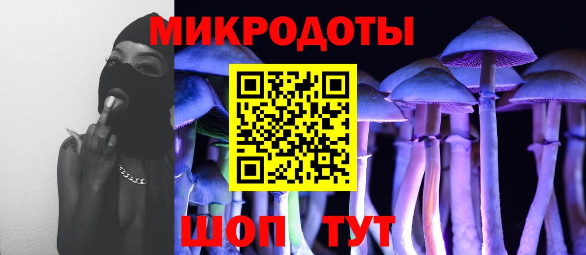 Псилоцибиновые грибы GOLDEN TEACHER  Вход с VPN  Галлюциногенные грибы Cubensis  Мыски 